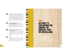 Het Grote Opgroeiboek - Baby's -Little Happy Winkel lantaarn het grote opgroeiboek baby s 6