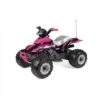 PEG PEREGO Corral T-Rex 330W Quad -Little Happy Winkel peg perego corral t rex 330w quad